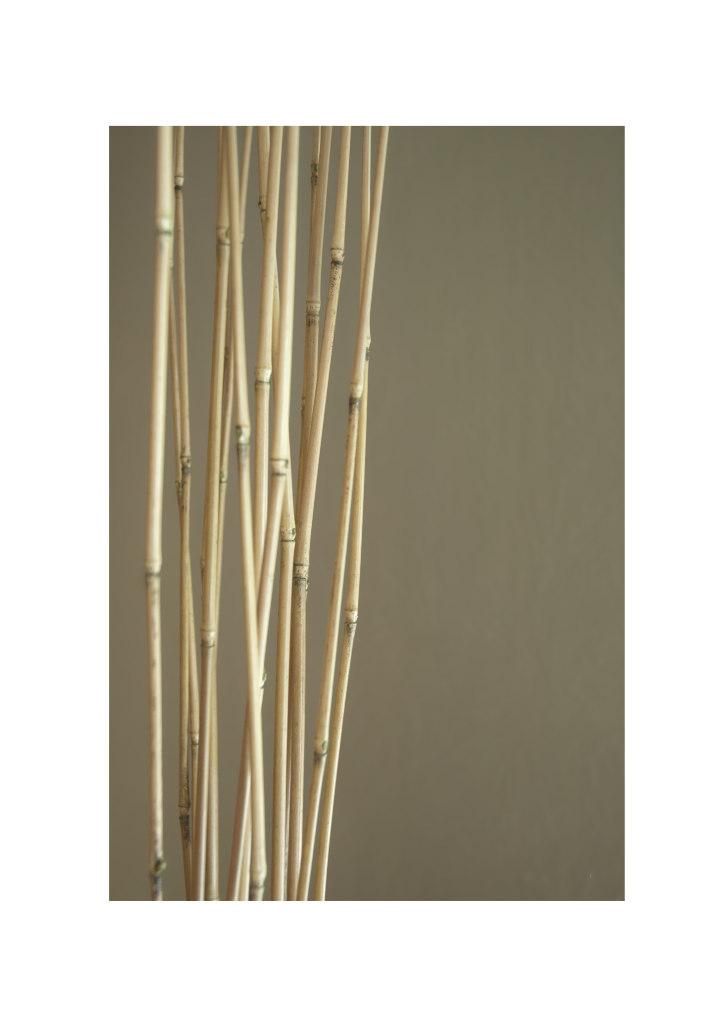 MarmoPure Paint